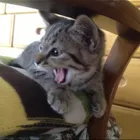 ユーザー画像