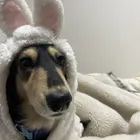 ユーザー画像