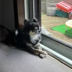 ユーザー画像