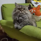 ユーザー画像