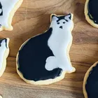 ユーザー画像