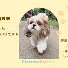 ユーザー画像