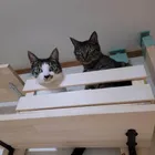 ユーザー画像
