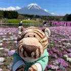 ユーザー画像