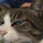 ユーザー画像