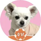 ユーザー画像