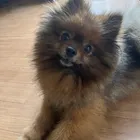 ユーザー画像