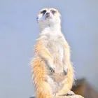 ユーザー画像