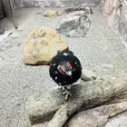 ユーザー画像