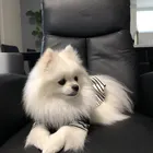 ユーザー画像