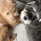 ユーザー画像