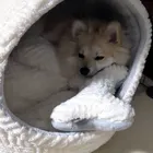 ユーザー画像