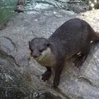 ユーザー画像