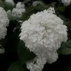 ユーザー画像