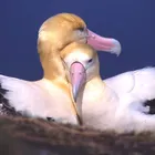 ユーザー画像