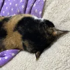 ユーザー画像