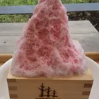ユーザー画像