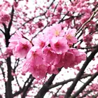 ユーザー画像