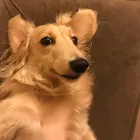 ユーザー画像