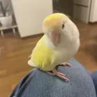 ユーザー画像