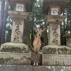 ユーザー画像
