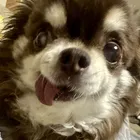 ユーザー画像