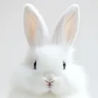 ユーザー画像