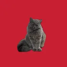 ユーザー画像