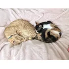 ユーザー画像