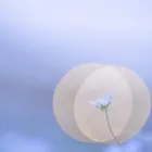 ユーザー画像