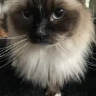 ユーザー画像