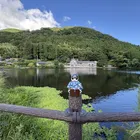 ユーザー画像