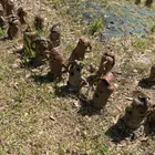 ユーザー画像