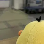 ひよひよ
