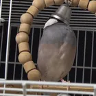 ユーザー画像