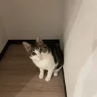 ユーザー画像