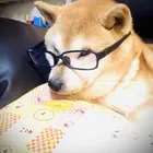 ユーザー画像