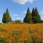 ユーザー画像