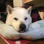 ユーザー画像