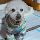 ユーザー画像