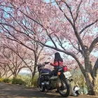 ユーザー画像