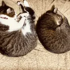 ユーザー画像