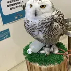 ユーザー画像