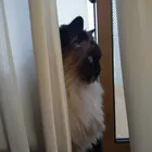 ユーザー画像