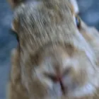 ユーザー画像