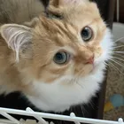 ユーザー画像