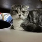 ユーザー画像