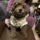 ユーザー画像