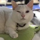 ユーザー画像