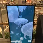 ユーザー画像